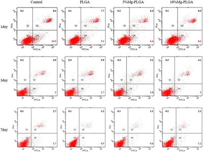 The Biodegradability and in Vitro Cytological Study on the Composite of PLGA Combined With Magnesium Metal